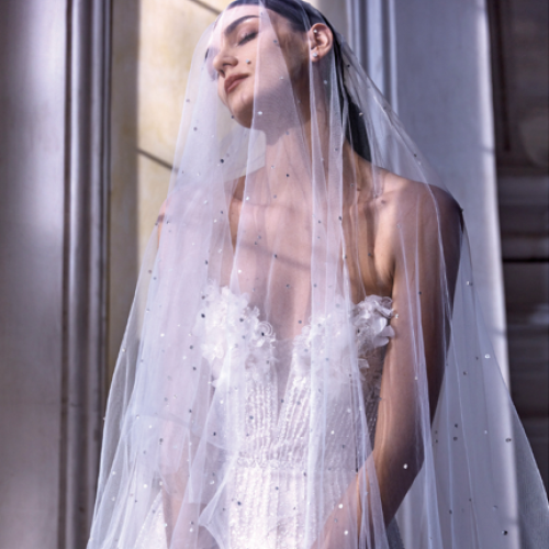 Pronovias Privée Trunk Show - Modern Affinity